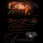 Cavallo Hoof Boots Magazine Ad